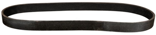 Cinghia trapezoidale ford - cinghia,