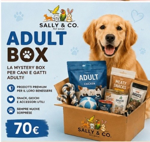 Lotto box mistery - box,