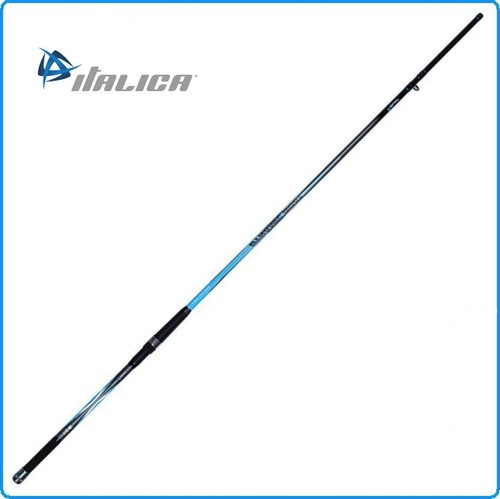Canna italica bolentino - italica,