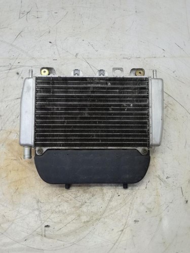Radiatore acqua per piaggio - radiatore,