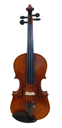 Stentor violino 1880 arcadia - violino,
