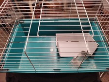 GABBIA PER ANIMALI (PORCELLINI D'INDIA) USATA BUONE CONDIZIONI