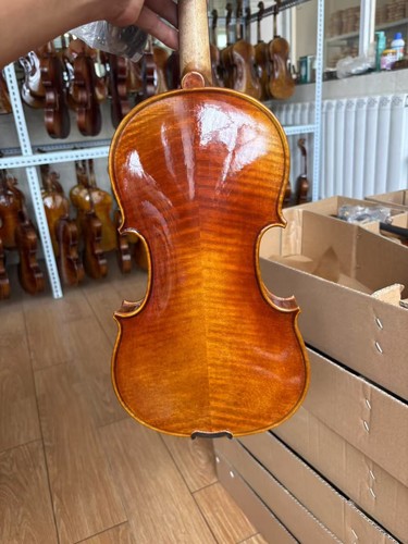 Abito per violino legno - per,