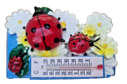 Souvenir magnete frigo - souvenir,