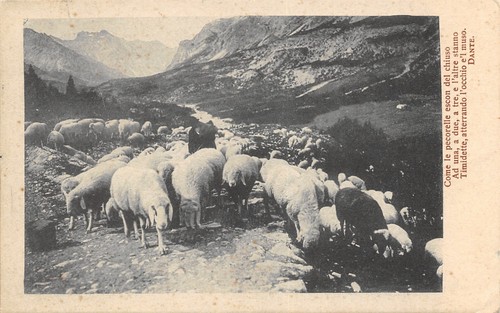 Al19 cartolina versi dante - cartolina,