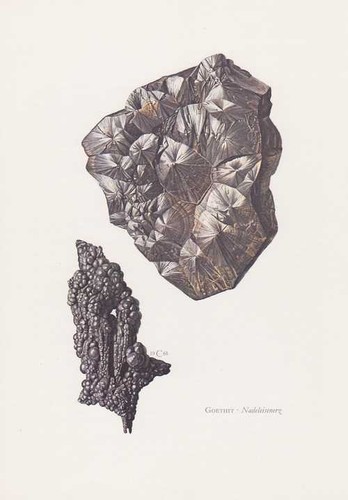 Goethite nadeleisenerz testa - goethite,