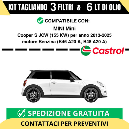 Tagliando per mini - per, cooper