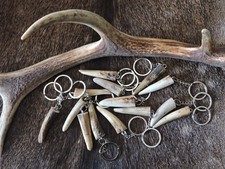 PORTACHIAVI punta CORNA di CERVO regalo caccia trofeo antler deer keychain NUOVO