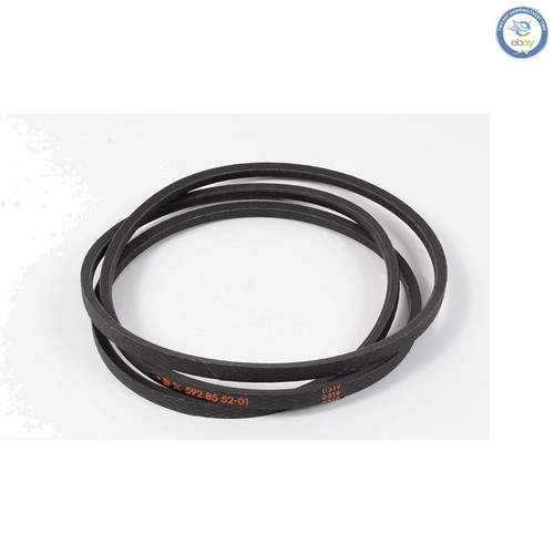 Cinghia trasmissione oem - trasmissione,