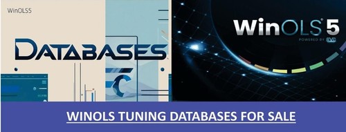 Database mega winols - database,