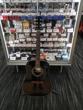 Chitarra elettrica acustica