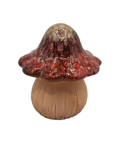 Funghi ceramica argilla - in,