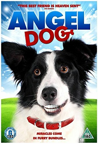 Angel dog dvd feature - angel,