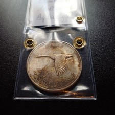 Moneta In Argento 800 G 23 Canada Elisabetta II 1 Dollaro 1967 Bb  Lotto 2023