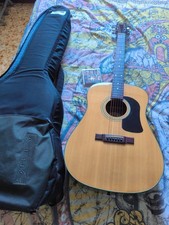 Chitarra Acustica WASHBURN D10