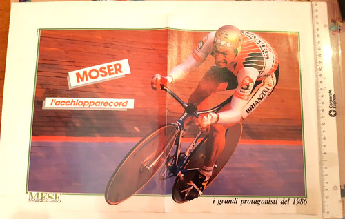 Moser argentin - /, m.