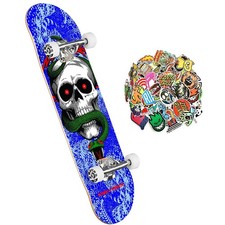 Powell Peralta Skateboard Professionale adulti 8.25" e 20 stickers skate