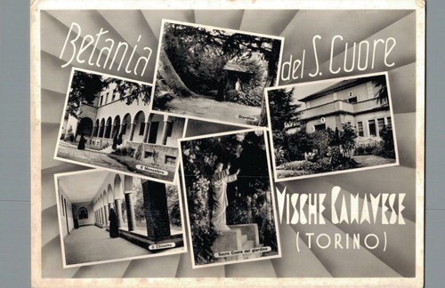 Torino vische canavese - torino,