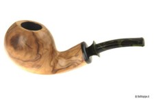 Pipa rodata: La Biota - Ulivo - Bent Apple