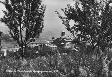 33-18D) CARTOLINA COLLE