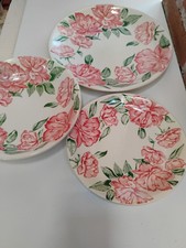 Servizio piatti pagnossin - piatti,
