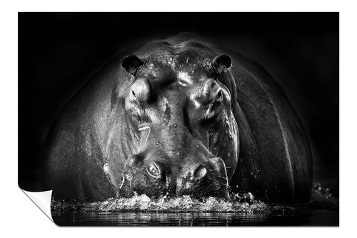 Poster artistico ippopotamo - poster,