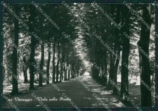 Lucca Viareggio Foto FG cartolina KV7990