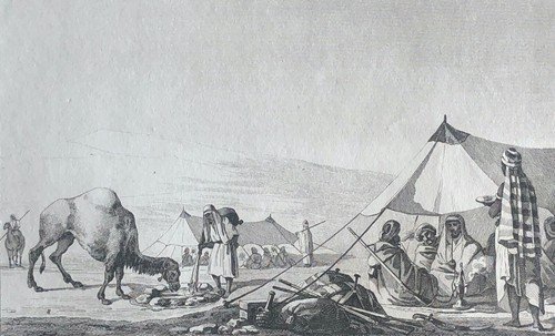 Halte arabes tenda - halte,