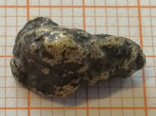 Pepita d'oro XXL, 11,5 mm oro