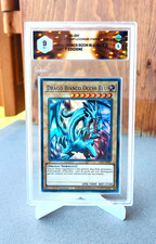 GRAAD 9 DRAGO BIANCO OCCHI BLU