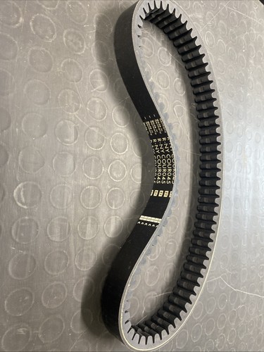 Cinghia trasmissione variatore - cinghia,