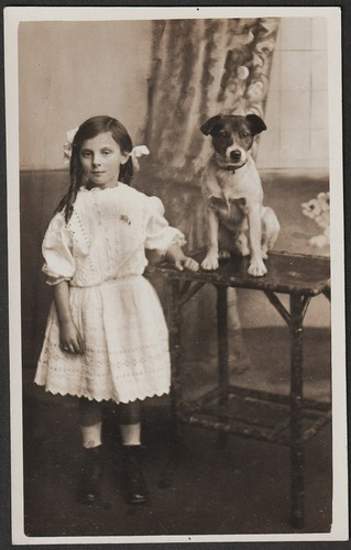 Jack russell dog postcard with - jack,
