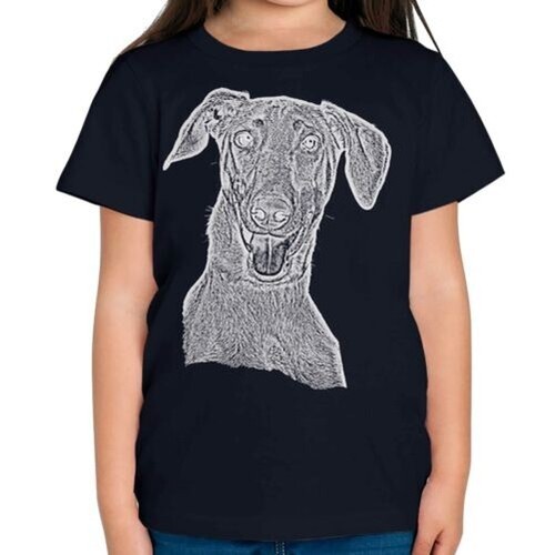 Doberman pinscher schizzo - pinscher,