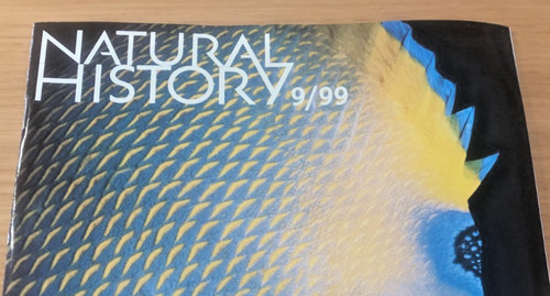 Vtg natural history - vtg,