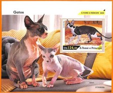 A6584 - SAO TOME & PRINCIPE, ERRORE, 2020, FOGLIO RICORDO ERSPERF: Gatti, Sphynx