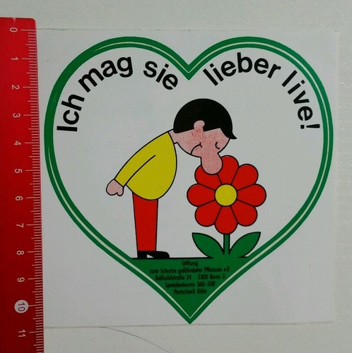 Adesivi sticker fondazione - adesivi/sticker:,