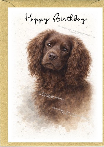 Biglietto compleanno cane - biglietto,