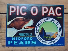 "PIC-O-PAC" JACK RUSSELL