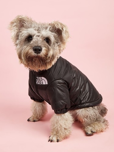 Giubbino cane - giubbino,