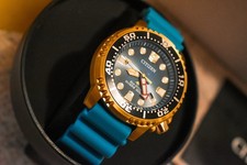 Citizen Diver's Eco Drive 200 mt (Collezione Promaster)