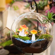 4pcs Miniature Fungo Decori