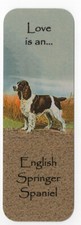 ENGLISH SPRINGER SPANIEL