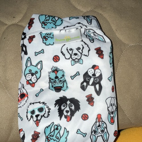 Bumgenius multicolor dog - multicolor, print