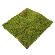  Tappetino muschio artificiale