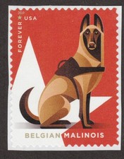 BELGIAN MALINOIS ** Francobollo Int'l Dog Arte ** Ottima idea regalo