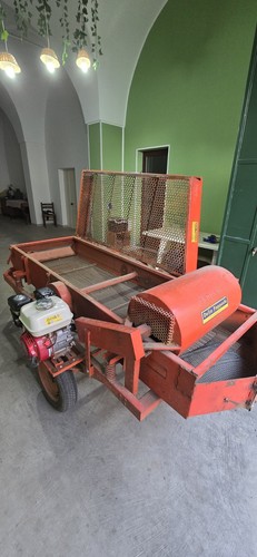 Cernitrice olive - cernitrice,