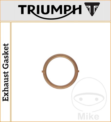 Guarnizione scarico triumph - guarnizione,