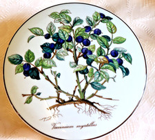 VILLEROY BOCH V&B Botanica