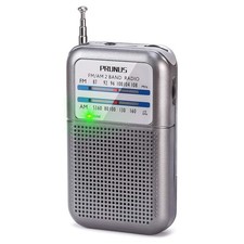 PRUNUS DEGEN-333 Mini Radio