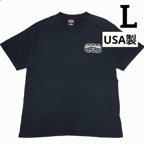 Harley davidson usa shirt - t-shirt, l